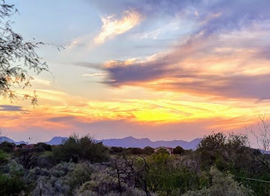 arizona/tucson-mountain-park/landmark/rillito-river-park