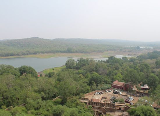 india/ranthambore/landmark/ranthambore-tiger-safari-booking