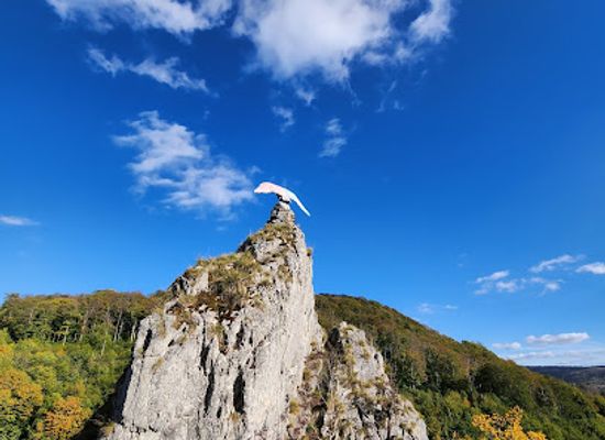 germany/harz-national-park/landmark/weltwald-bad-grund