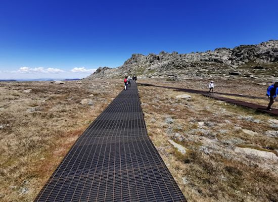 australia/kosciuszko-national-park/landmark/kosciuszko-lookout