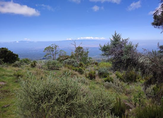 kenya/eastern-region/landmark/mount-kenya-national-park