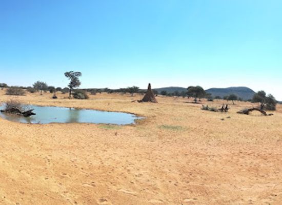 namibia/skeleton-coast/landmark/okonjima-nature-reserve