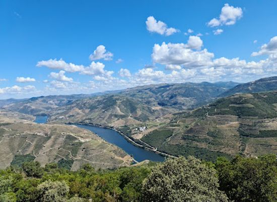 portugal/douro-valley/landmark/viewpoint-of-sao-leonardo-de-galafura