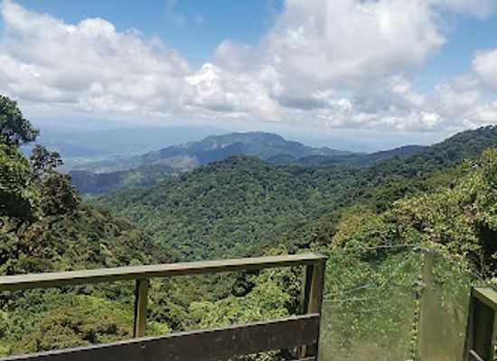honduras/eastern-plains/landmark/parque-nacional-la-tigra