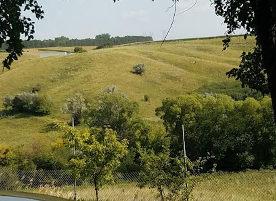 north-dakota/prairie-pothole-region/landmark/world-s-largest-buffalo-monument