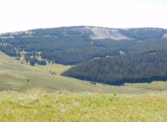wyoming/big-horn-county/landmark/big-horn-national-forest