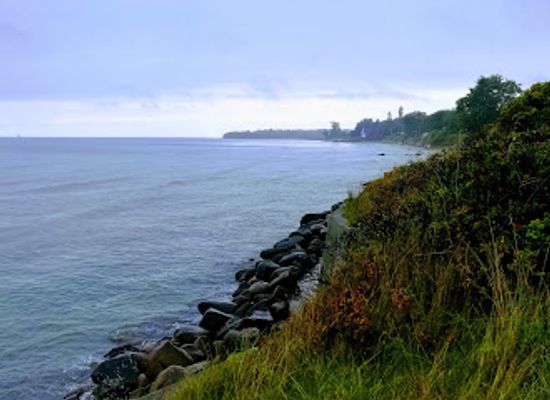 denmark/south-zealand/attraction/kalvehave-labyrintpark