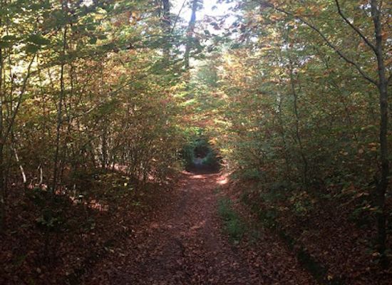 germany/spessart/landmark/spessartbogen