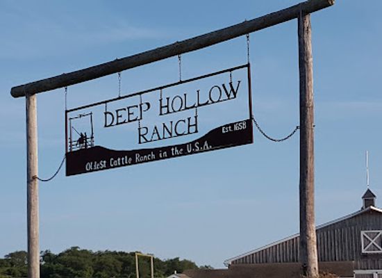 new-york/montauk/landmark/deep-hollow-ranch