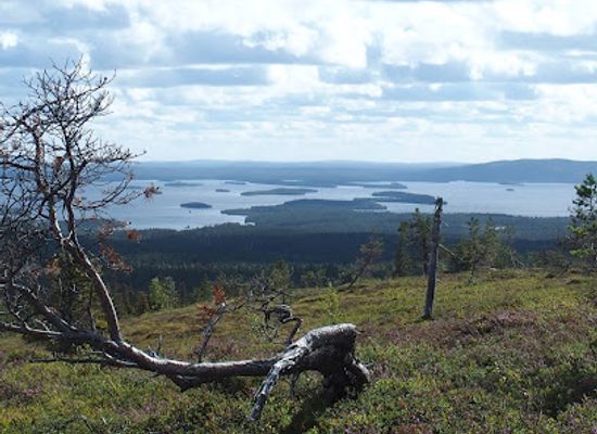finland/riisitunturi-national-park/landmark/riisitunturi