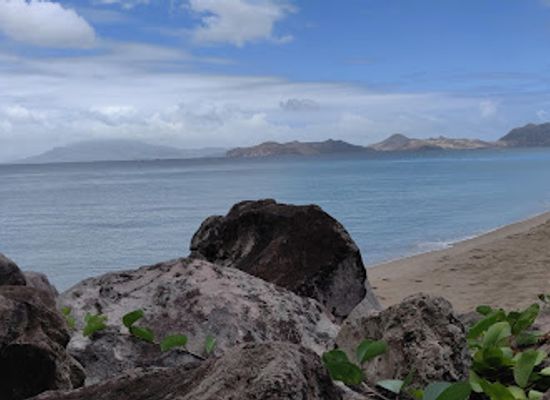 saint-kitts-and-nevis/charlestown/landmark/mango