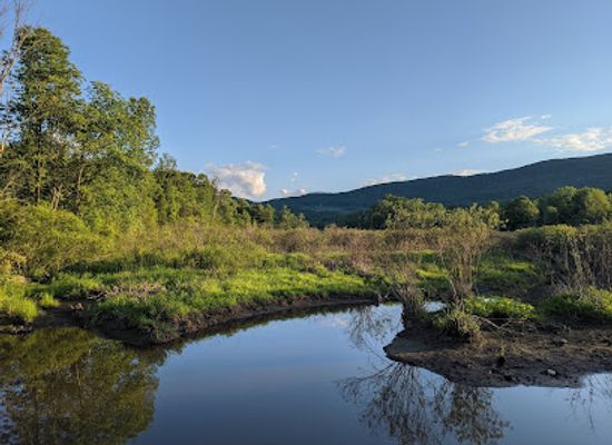 vermont/bennington-county/landmark/norman-and-selma-greenberg-conservation-reserve