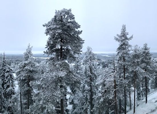 finland/ruka-kuusamo/landmark/wild-food-restaurant-rukan-kuksa