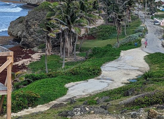 barbados/bathsheba/landmark/barclays-park