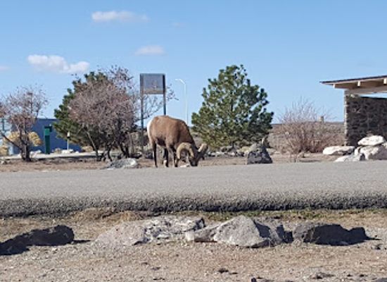new-mexico/southeast-new-mexico/landmark/rio-grande-del-norte-national-monument