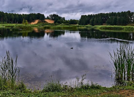 estonia/laane-virumaa/landmark/riigikula-lahingu-malestussammas