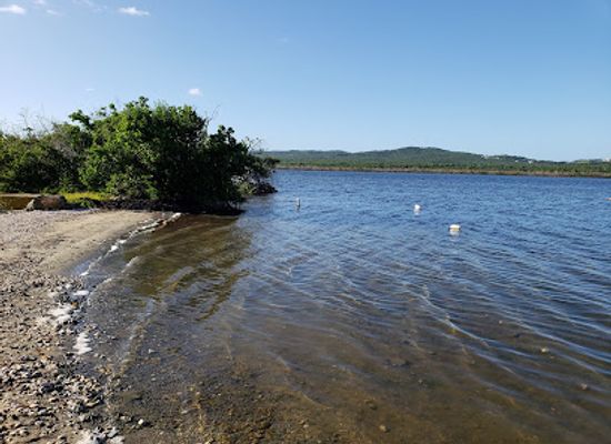 puerto-rico/vieques/landmark/puerto-mosquito-bioluminescent-bay
