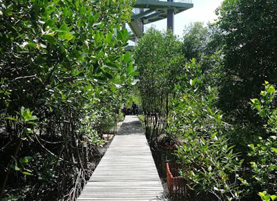 thailand/rayong/mae-ram-phueng-beach/landmark/sky-view-tower-and-mangrove-research-center