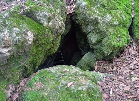 hungary/bakony/landmark/hajszabarnai-penz-lik