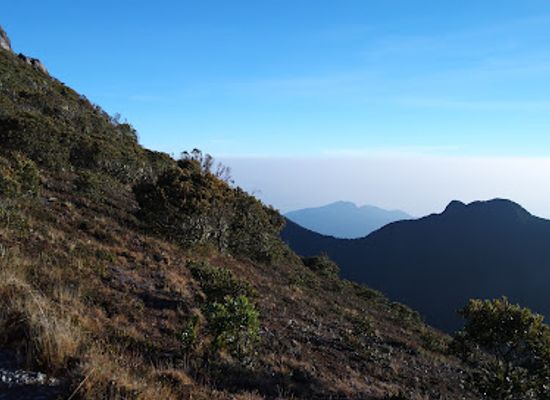 panama/chiriqui-highlands/landmark/baru-volcano-national-park