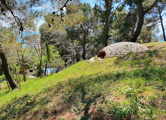 albania/toskeria/landmark/concrete-bunkers