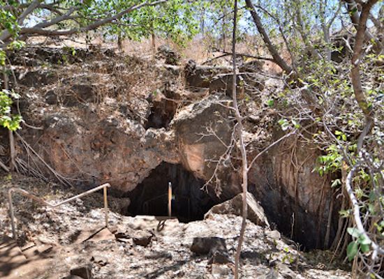 australia/top-end/landmark/cutta-cutta-caves-nature-park