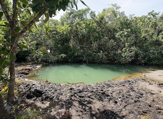 philippines/palawan/landmark/makinit-hot-springs