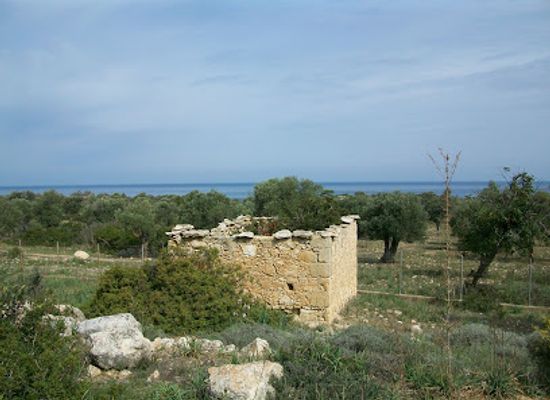 cyprus/kyrenia-district/landmark/alagadi-turtle-beach
