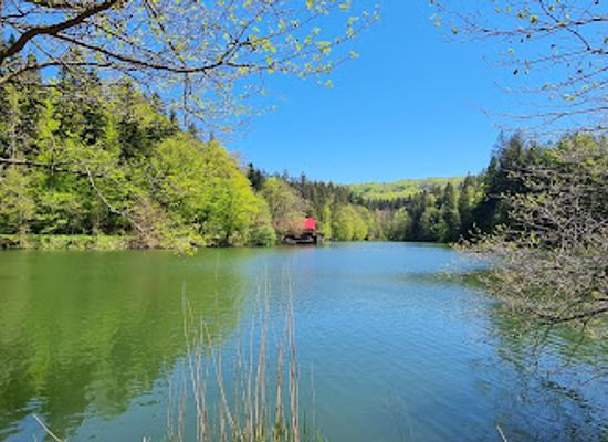 romania/cheile-nerei-national-park/landmark/semenic-cheile-carasului-national-park