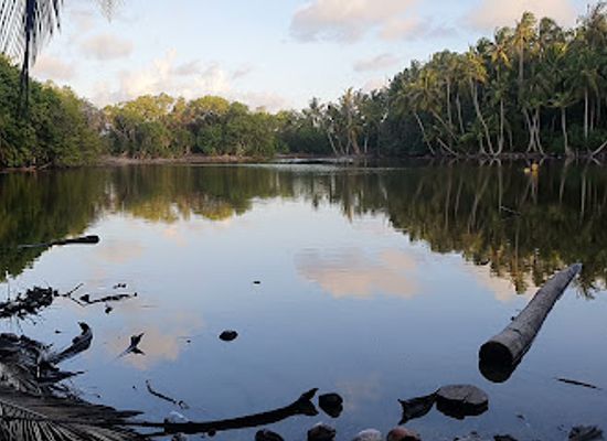 maldives/noonu-atoll/landmark/mangrove