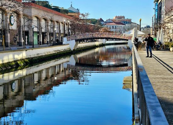 portugal/aveiro/landmark/canais-de-aveiro