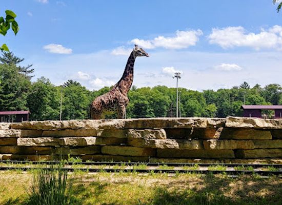 wisconsin/wisconsin-dells/landmark/timbavati-wildlife-park