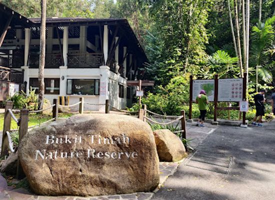 singapore/bukit-batok/landmark/bukit-timah-nature-reserve
