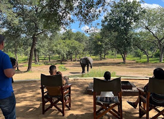 malawi/majete-wildlife-reserve/landmark/thawale-tented-lodge