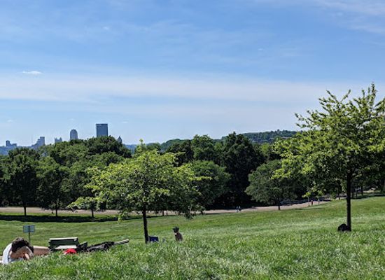 pennsylvania/pittsburgh/landmark/schenley-park
