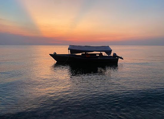 tanzania/kigoma/landmark/gombe-wild-chimp-safari