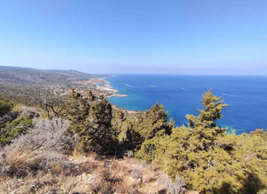 cyprus/paphos-forest/landmark/akamas-national-forest-park