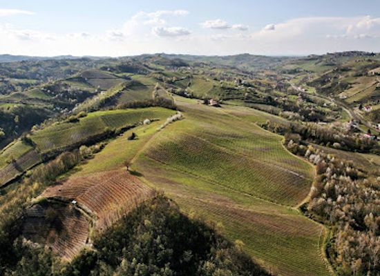 italy/langhe/landmark/cantine-bosca