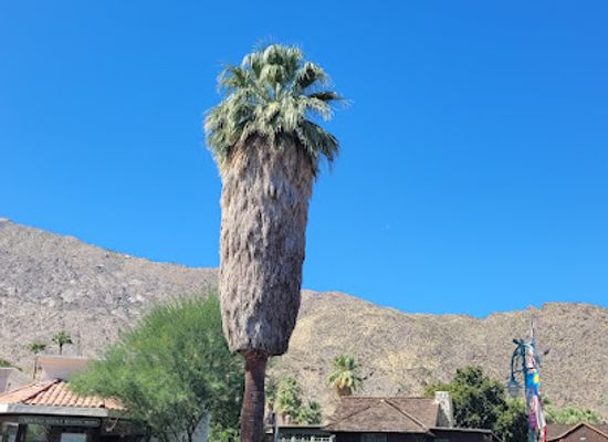 california/inland-empire/landmark/cornelia-white-house