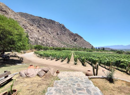 argentina/cafayate/landmark/finca-las-nubes
