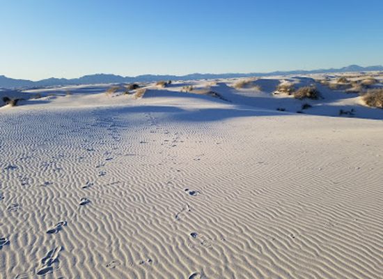 new-mexico/white-sands-national-park/landmark/white-sands-visitor-center