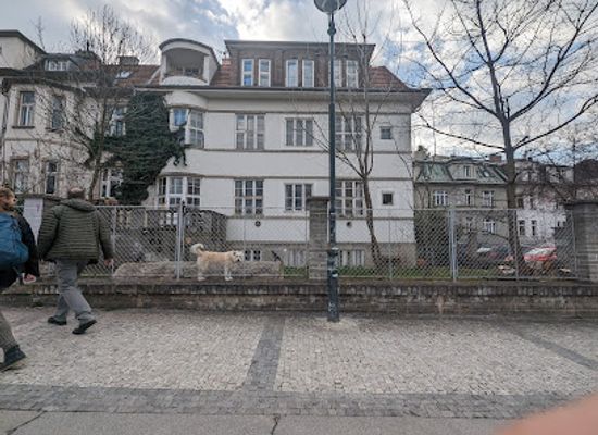 czechia/prague/landmark/the-famous-log