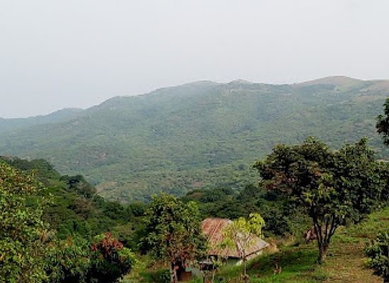 cameroon/adamawa/landmark/ngel-nyaki-forest-reserve