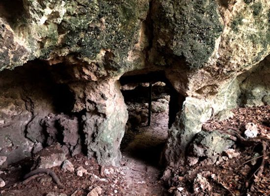barbados/animal-flower-cave/landmark/grenade-hall-forest-signal-station