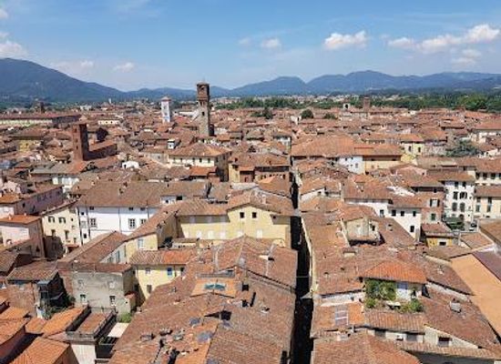 italy/pisa/landmark/guinigi-tower