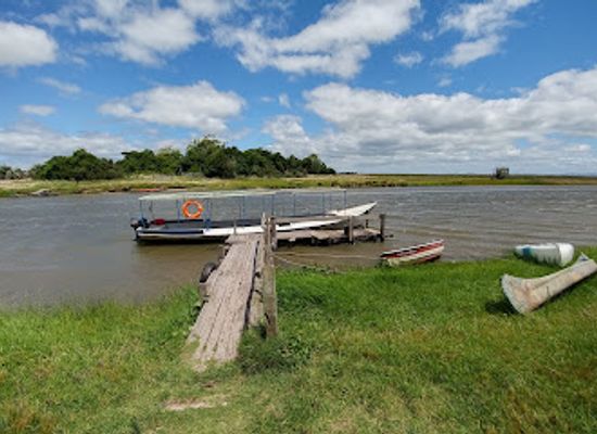 uruguay/valizas/landmark/monte-de-ombues