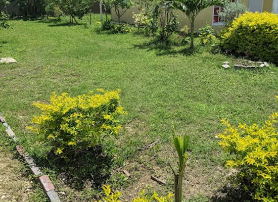 jamaica/savanna-la-mar/landmark/savannah-park-manor