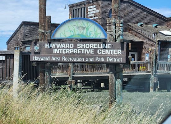 california/hayward/landmark/hayward-regional-shoreline