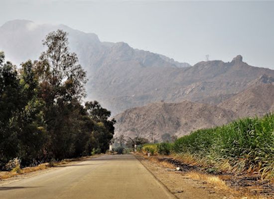 peru/lambayeque/landmark/pampa-grande