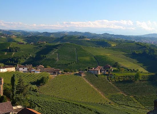 italy/roero/landmark/torre-di-barbaresco-e-bistro